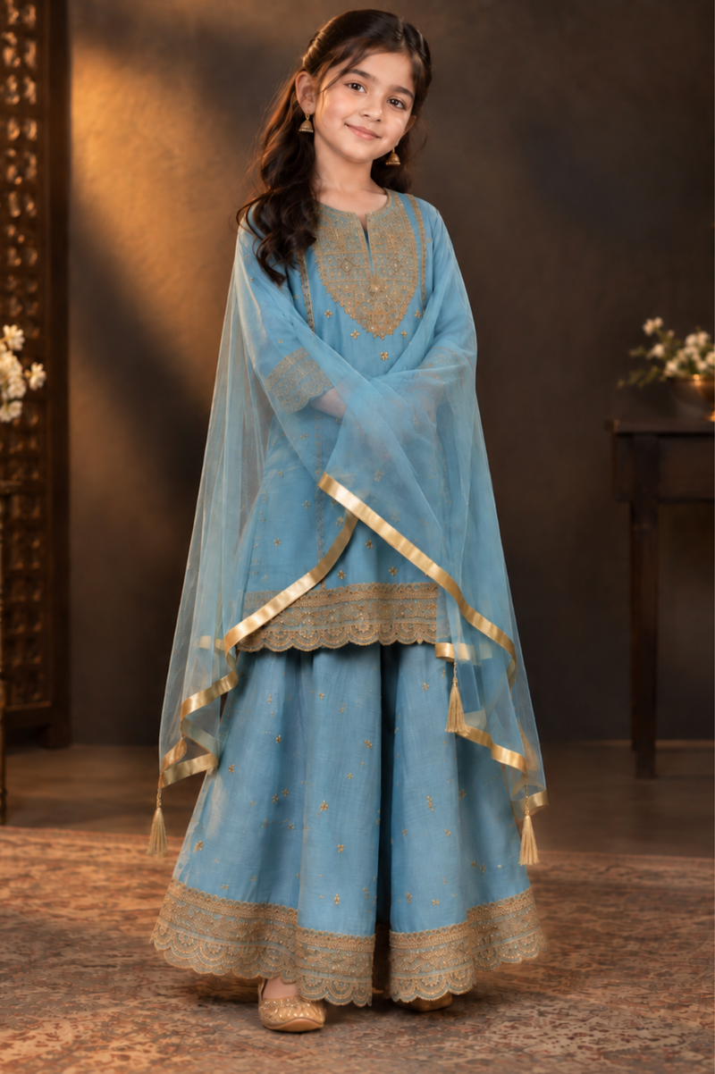 Powder Blue Embroidered Sharara Set For Girls