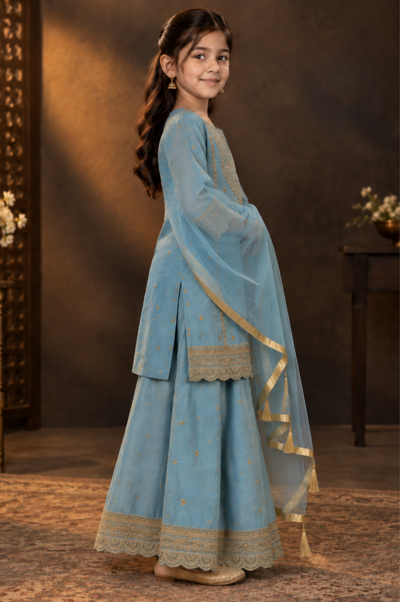 Powder Blue Embroidered Sharara Set For Girls